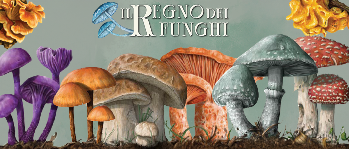 Il Regno dei Funghi – Regole aggiuntive AUTOMA