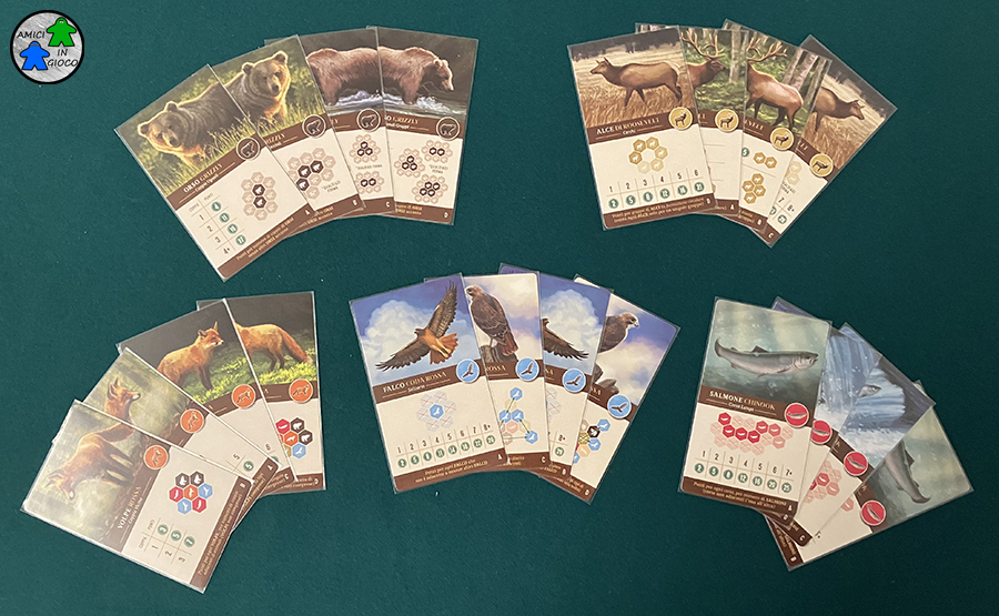 Cascadia - Carte
