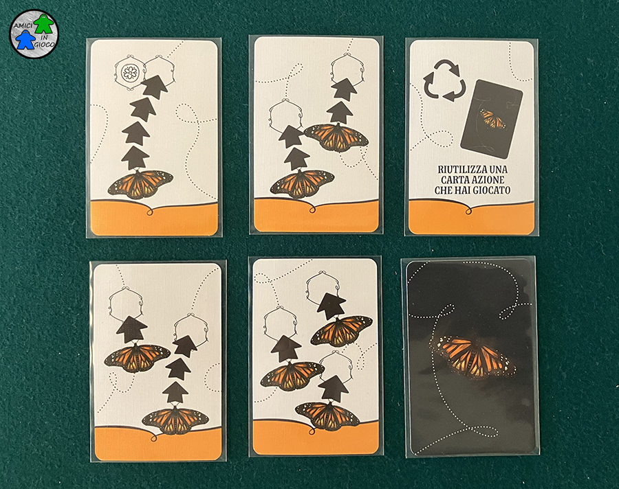 Mariposas - Carte