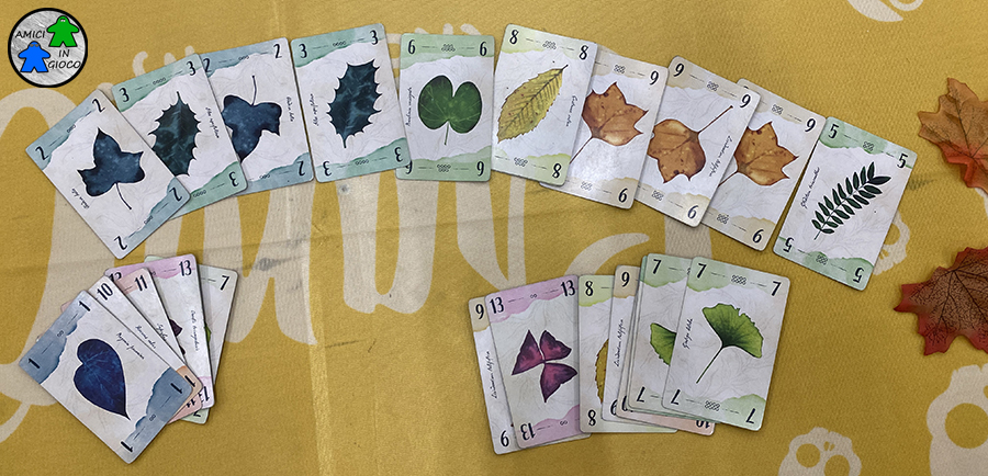 13 foglie - Play2025