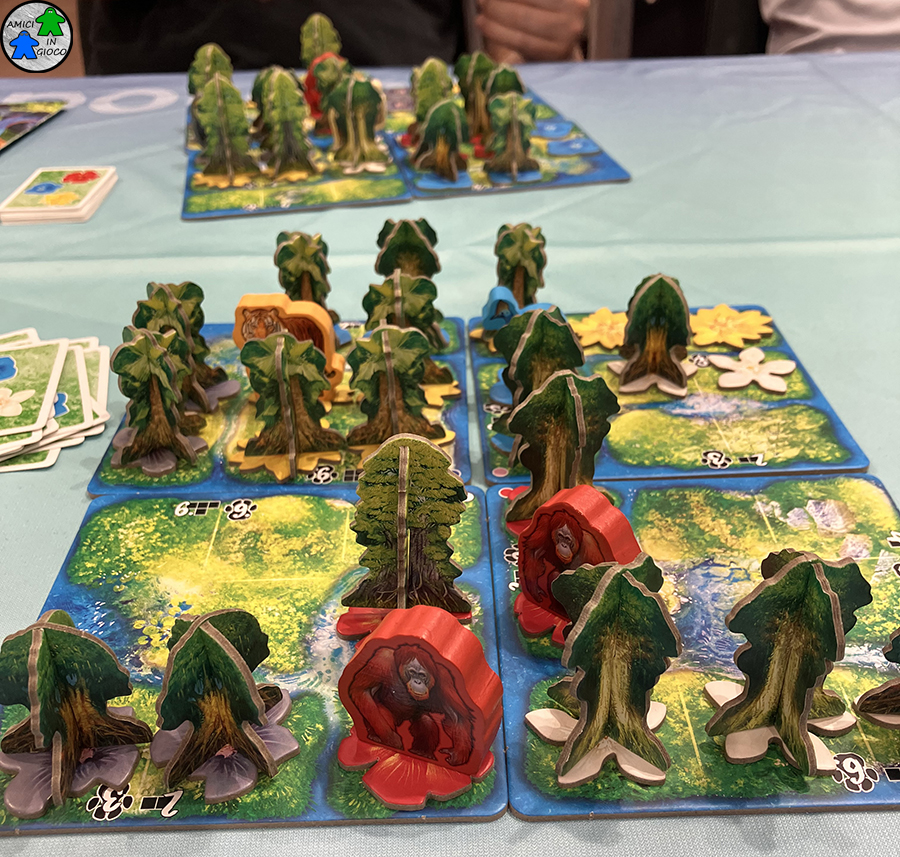 Hutan - Play2025