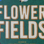 Flower Fields - Copetina Sito