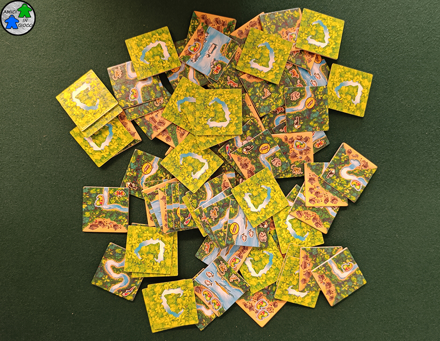 Carcassonne Rio delle Amazzoni - Tessere di gioco