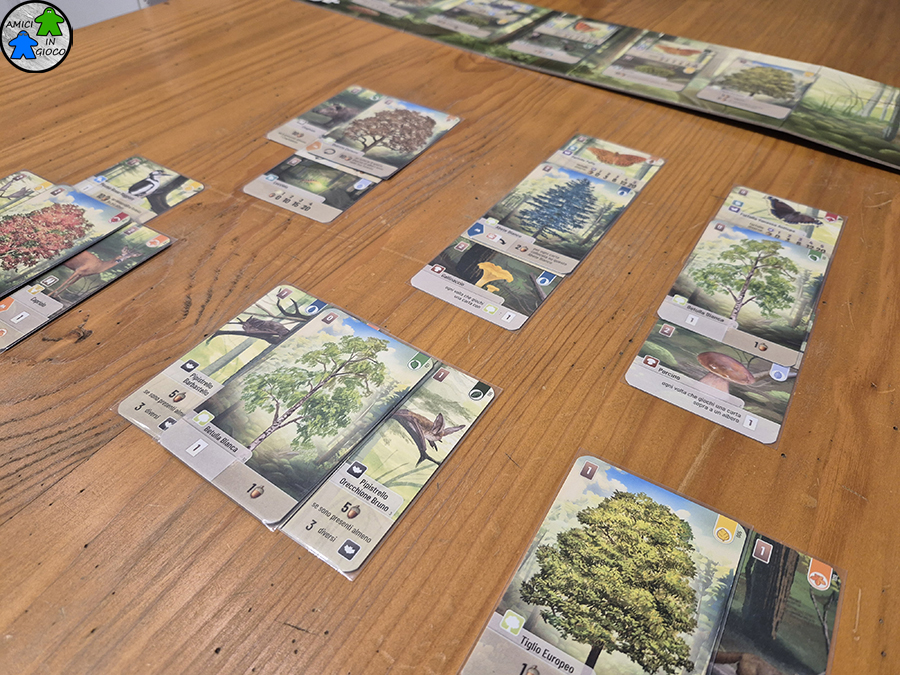 Forest Shuffle - Carte