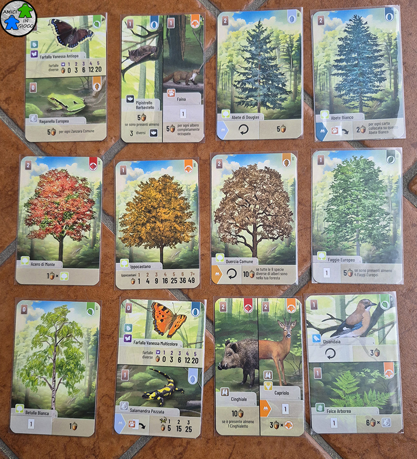 Forest Shuffle - Carte
