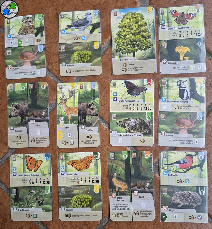 Forest Shuffle - Carte
