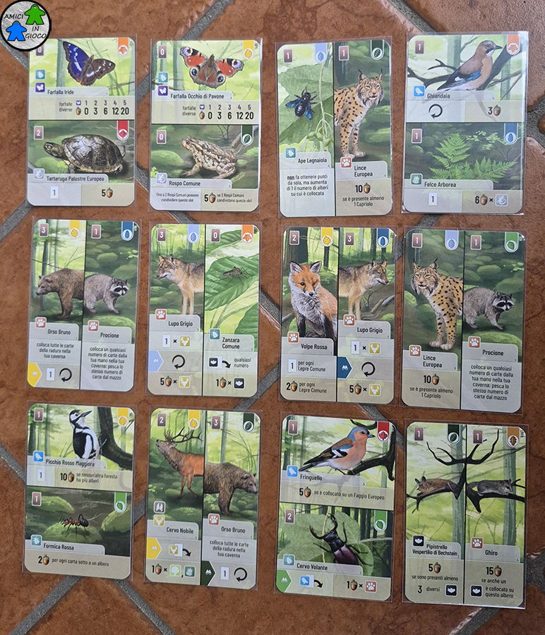 Forest Shuffle - Carte