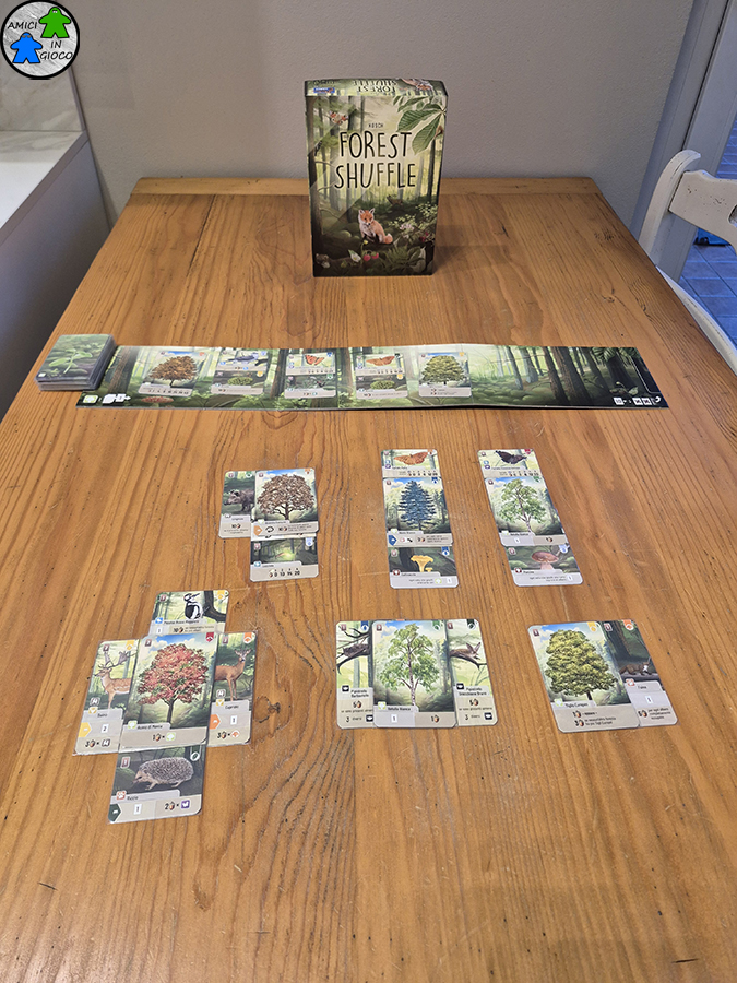 Forest Shuffle - Scatola e Carte
